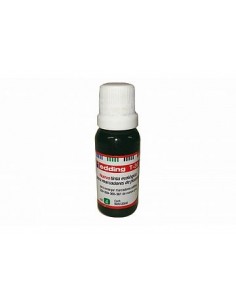 Tinta Edding P/marcador Permanente T25 20ml.verde.231321004