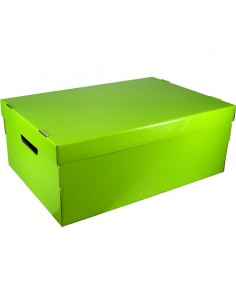 Caja Carton Plegable Grande...